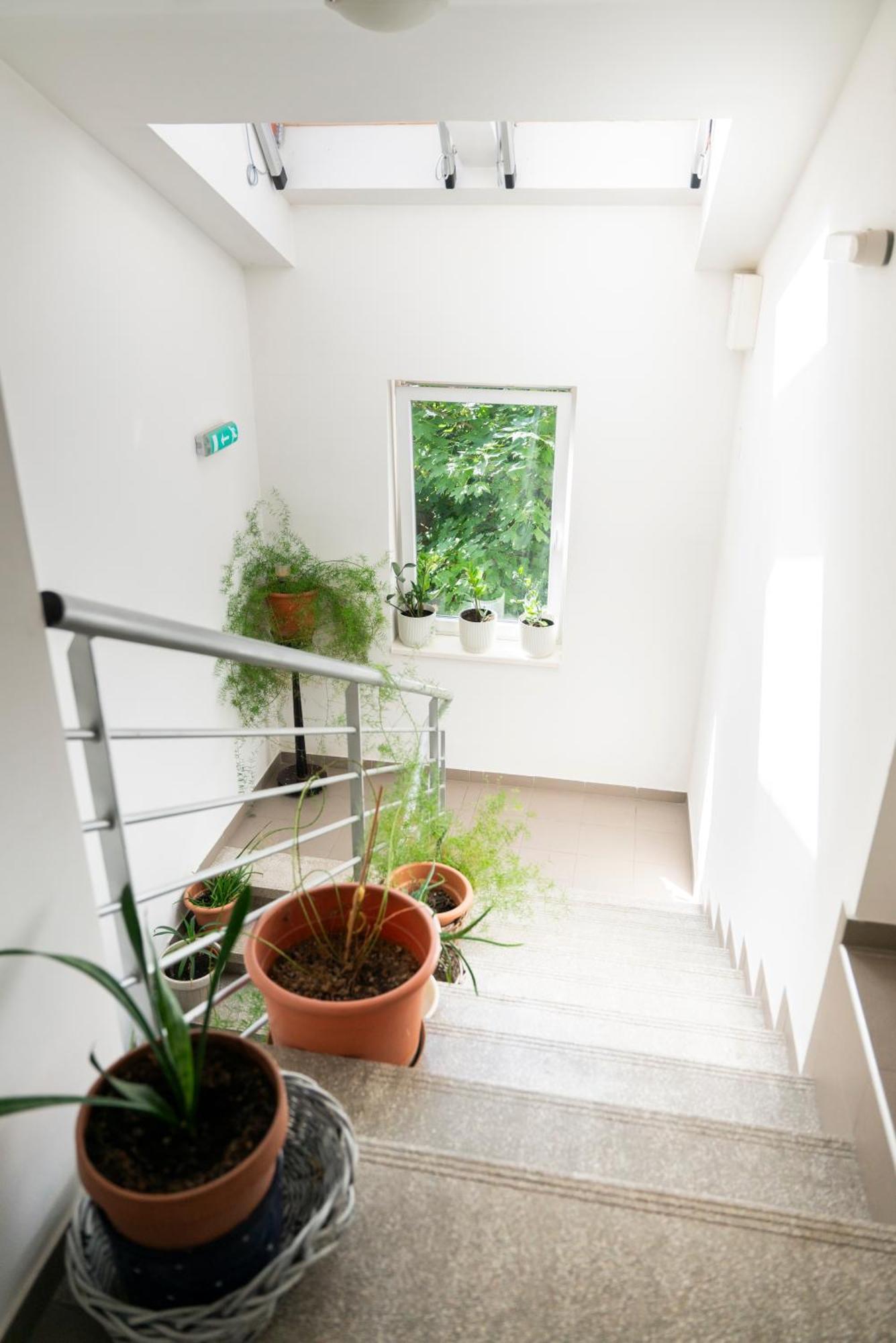 Bagoly Fogadó Gyömrő Exterior foto